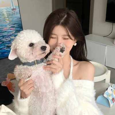 失去灵魂的内托